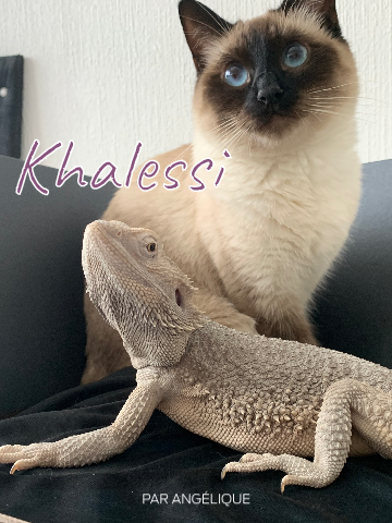 upload_action_ha5Tl8.png upload_action_ha5Tl8.png