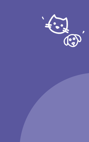 AddStory
